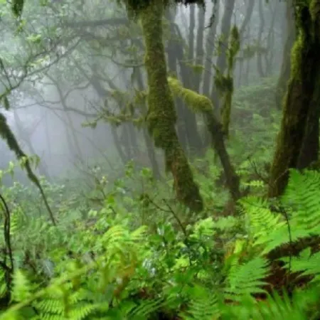 Centrico Y Tranquilo Con Wifi *