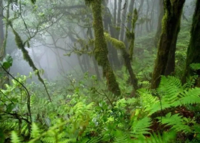 Centrico Y Tranquilo Con Wifi *