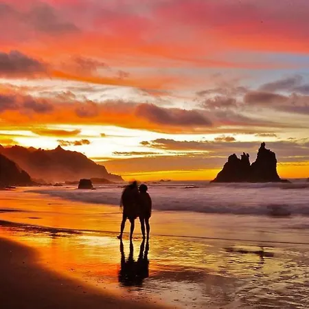 Centrico Y Tranquilo Con Wifi Apartment